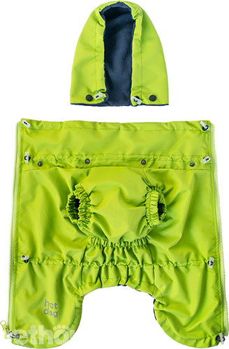 Hat-Dog Girl Ветровка для такс, неон