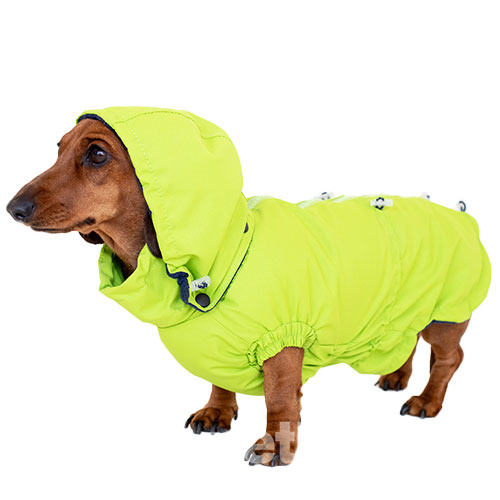 Hat-Dog Girl Ветровка для такс, неон