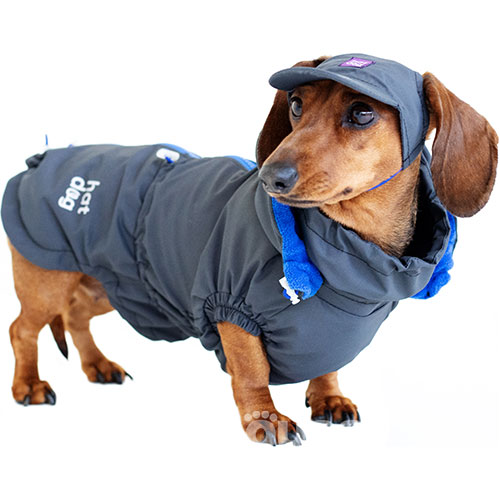 Hat-Dog Boy Ветровка для такс, графит