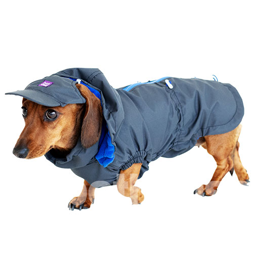 Hat-Dog Boy Ветровка для такс, графит
