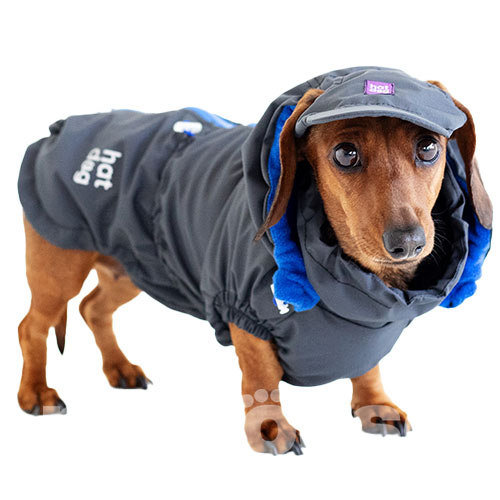 Hat-Dog Boy Ветровка для такс, графит