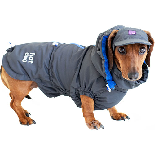 Hat-Dog Girl Ветровка для такс, графит