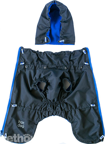 Hat-Dog Girl Ветровка для такс, графит