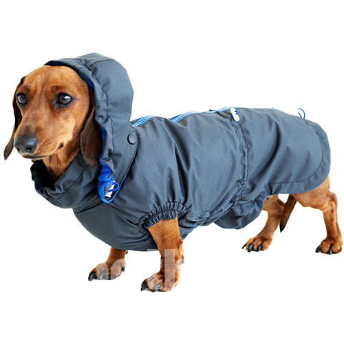 Hat-Dog Girl Ветровка для такс, графит