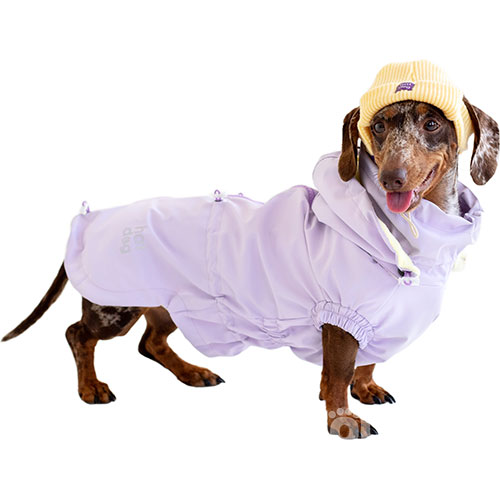 Hat-Dog Boy Ветровка для такс, лиловая