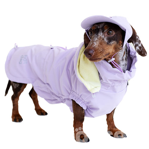 Hat-Dog Boy Ветровка для такс, лиловая