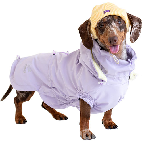 Hat-Dog Girl Ветровка для такс, лиловая