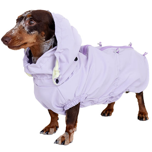 Hat-Dog Girl Ветровка для такс, лиловая