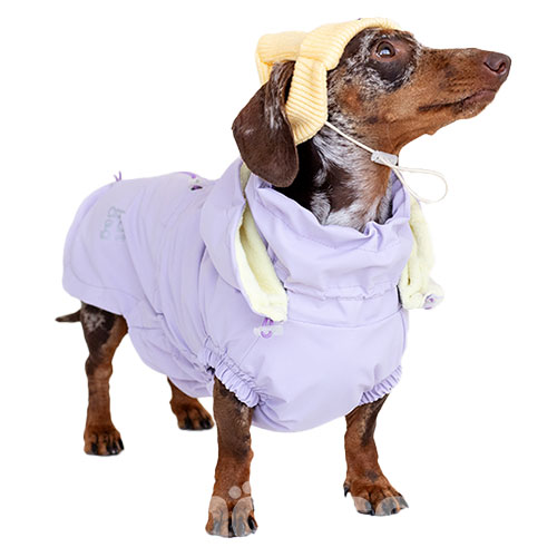 Hat-Dog Girl Ветровка для такс, лиловая