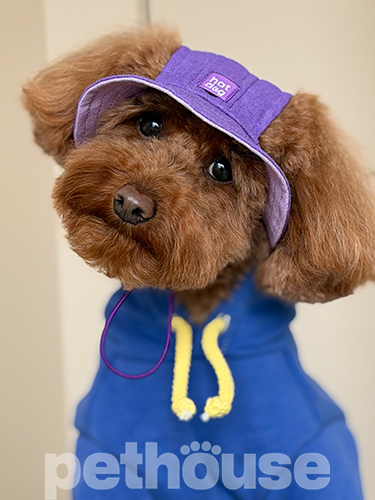 Hat-Dog Панама з льону для собак, лавандовий раф