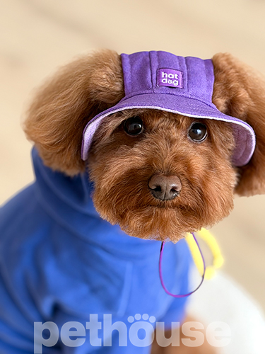 Hat-Dog Панама з льону для собак, лавандовий раф