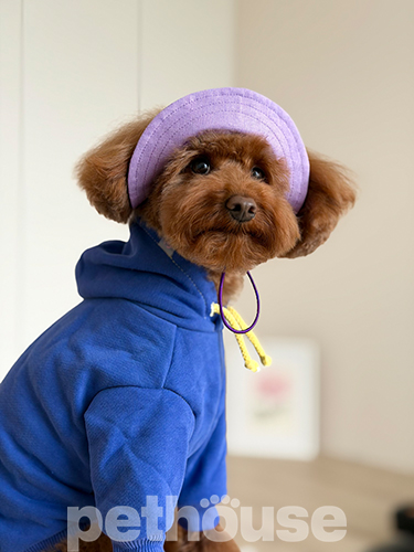 Hat-Dog Панама з льону для собак, лавандовий раф