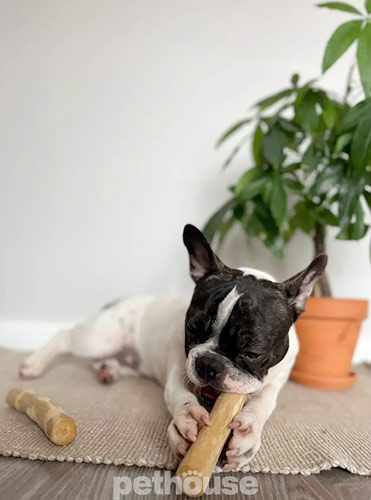 HealthyDoggo Coffee Stick Палка из кофейного дерева для собак HealthyDoggo Coffee Stick Палка из кофейного дерева для собак