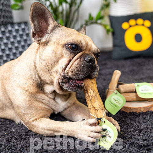 HealthyDoggo Coffee Stick Палка из кофейного дерева для собак HealthyDoggo Coffee Stick Палка из кофейного дерева для собак