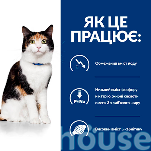 Hill's PD Feline Y/D