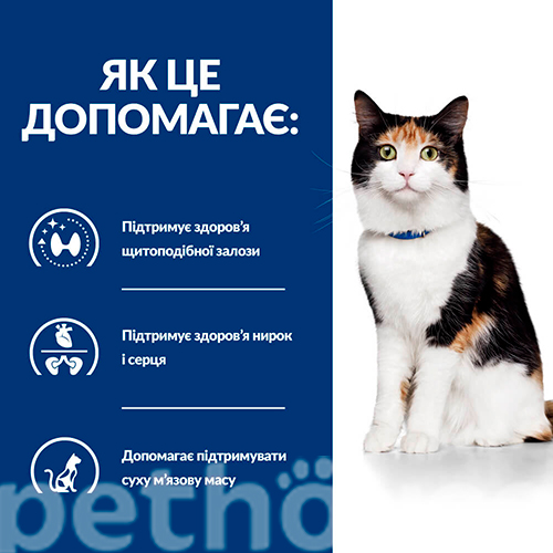 Hill's PD Feline Y/D