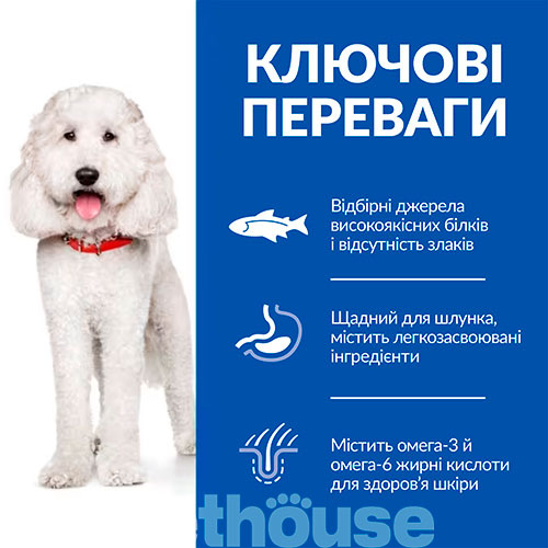 Hill's SP Canine Adult Medium Hypoallergenic