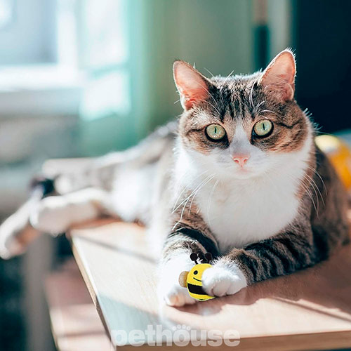 Hippie Pet Плюшева бджілка для котів