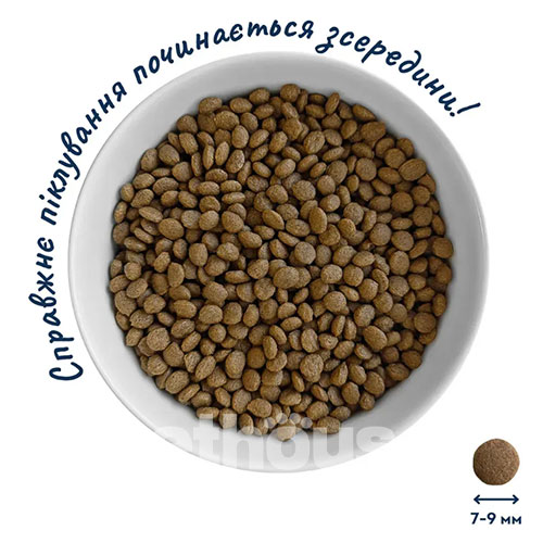 Home Food з лососем та індичкою для дорослих собак малих порід