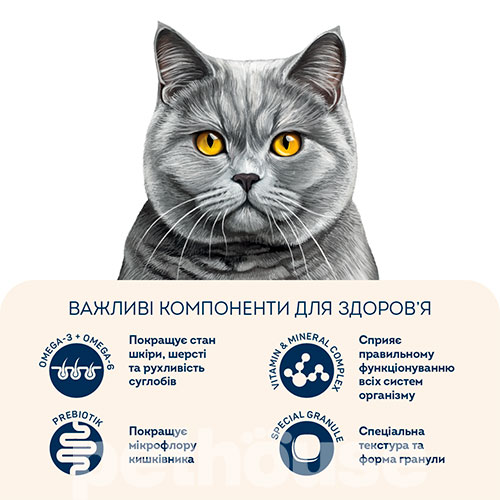 Home Food с индейкой и уткой для кошек британской породы
