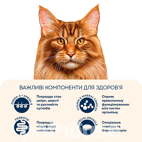 Home Food з телятиною, лососем і в'яленими томатами для котів великих порід
