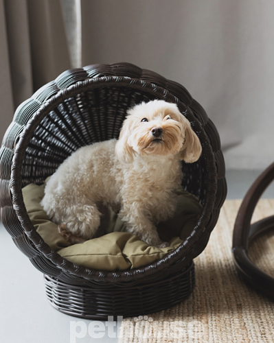 Home Rest Крісло-кокон для котів та собак Home Rest Крісло-кокон для котів та собак