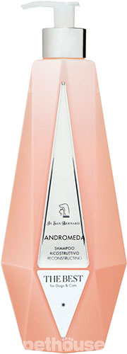 Iv San Bernard Andromeda Reconstructing Shampoo