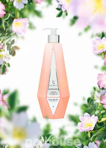 Iv San Bernard Andromeda Reconstructing Shampoo