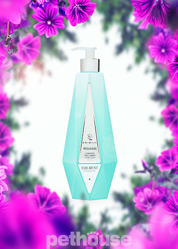 Iv San Bernard Pegasus Long Coat Shampoo