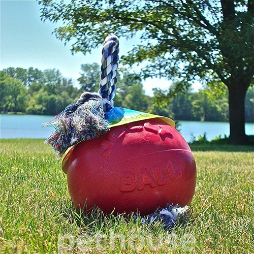 Jolly Pets Romp-N-Roll М’яч із канатом для собак, 20 см, фото 6