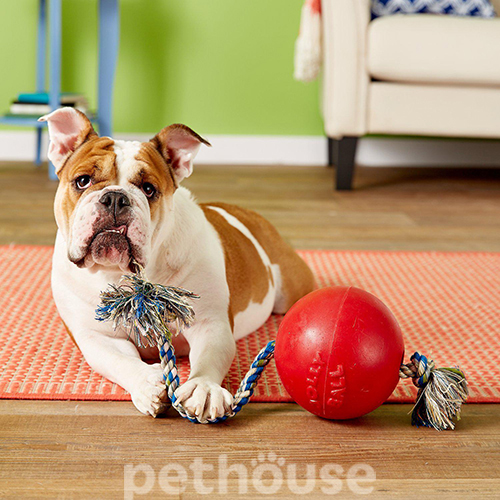 Jolly Pets Romp-N-Roll Мяч с канатом для собак, 20 см, фото 7