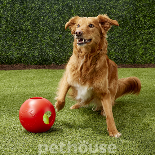 Jolly Pets Teaser Ball Подвійний м’яч для собак, 20 см, фото 4