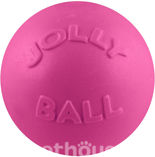 Jolly Pets Bounce-N-Play Мяч для собак, 20 см