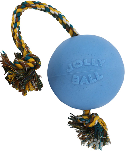 Jolly Pets Romp-N-Roll М’яч із канатом для собак, 15 см