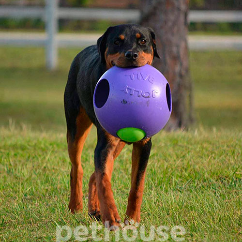 Jolly Pets Teaser Ball Подвійний м’яч для собак, 25 см, фото 2