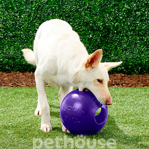 Jolly Pets Teaser Ball Подвійний м’яч для собак, 25 см, фото 3