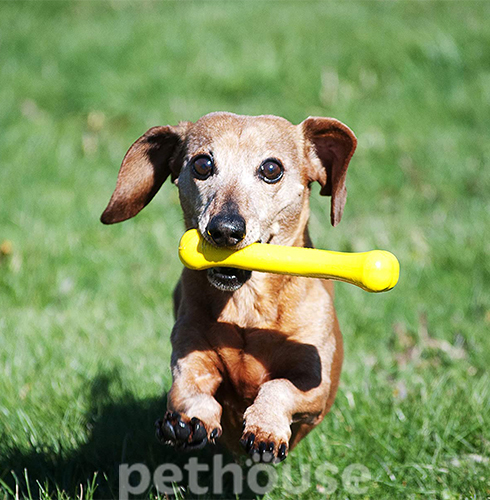 Jolly Pets Flex-N-Chow Гнучка іграшкова кістка для собак, 20,5 см, фото 4