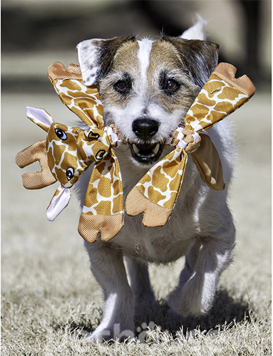 Jolly Pets Хрусткий жираф для собак, фото 2