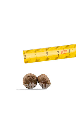 Josera Dog High Protein Josera Dog High Protein