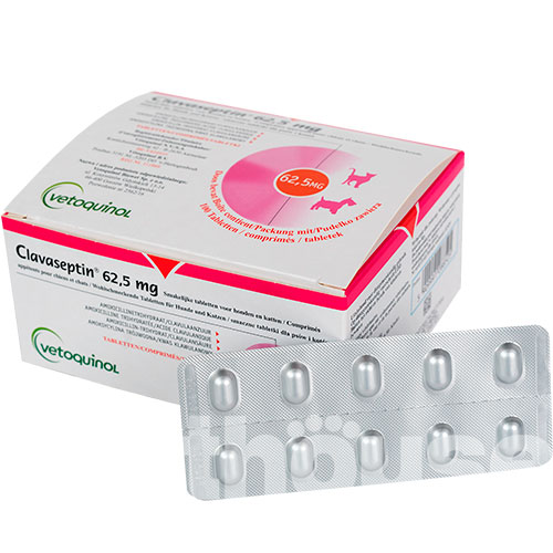 Клавасептин Таблетки, 62,5 мг