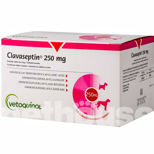 Клавасептин Таблетки, 250 мг