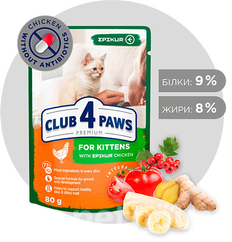 Клуб 4 лапы Premium Epikur Kitten с курицей в соусе для котят, фото 2