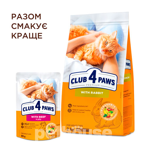 Клуб 4 лапи Premium Шматочки з яловичиною в желе для котів