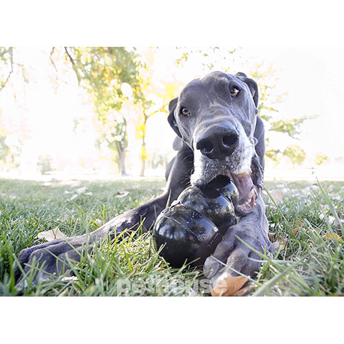 Kong Extreme Сверхпрочная игрушка для собак