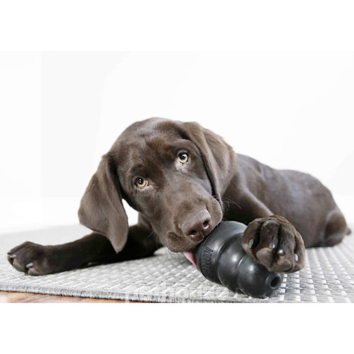 Kong Extreme Сверхпрочная игрушка для собак