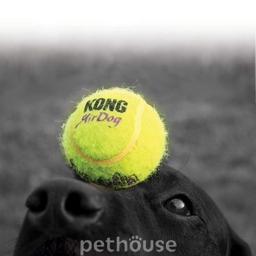 Kong Airdog Squeakair Ball Игрушка для собак, со звуком, фото 4