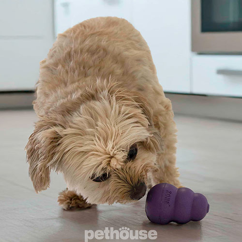 Kong Senior Игрушка для пожилых собак