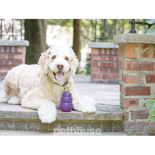 Kong Senior Игрушка для пожилых собак