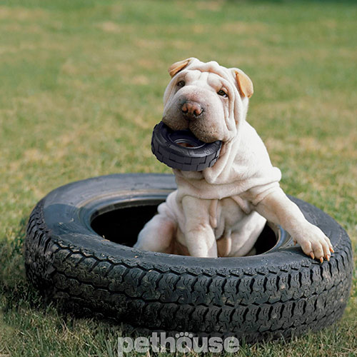 Kong Tires Екстрим-кільце для собак