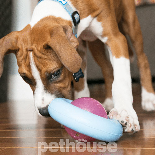 Kong Puppy Gyro Гіроскоп для цуценят